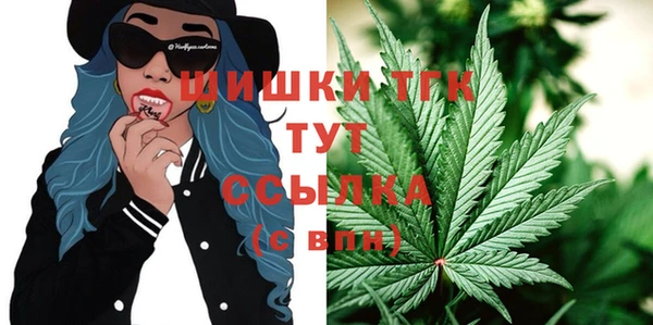 гидропоника Алзамай