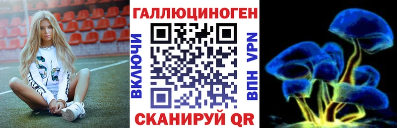 Псилоцибиновые грибы прущие грибы  закладки  Большой Камень 